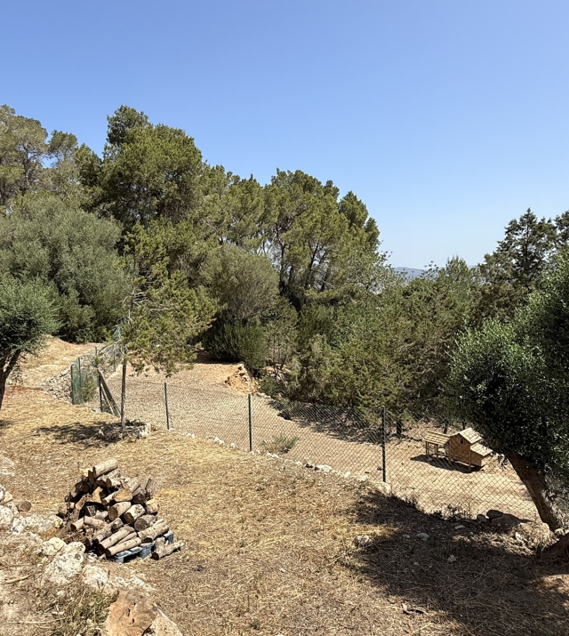 Resa Estates Ibiza koop  finca sale san augustin campo .jpeg